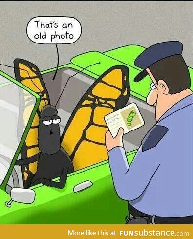 Getting pulled over