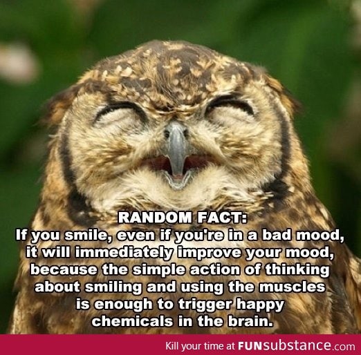 Random fact about smiling