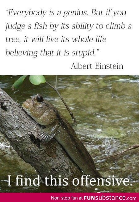 Mudskipper find this quote offensive