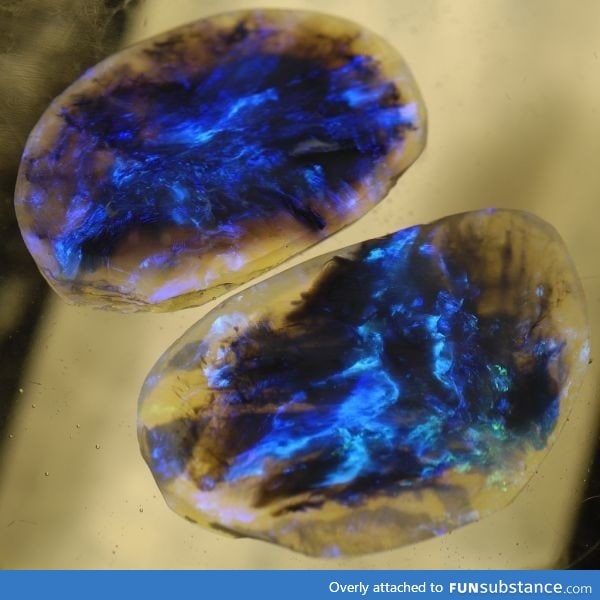 Lightning ridge black opal