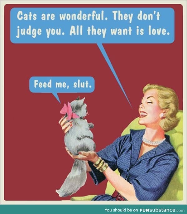 For all you lonely single ladies out there