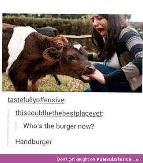 Who's the burger now huh?