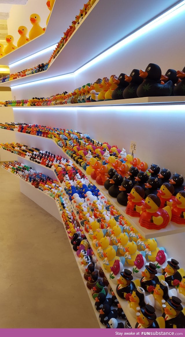 Rubber duck shop