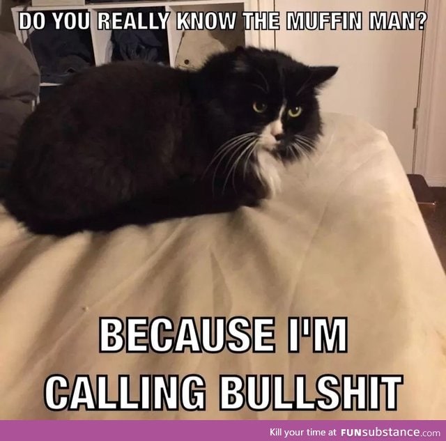 I made a meme of my cat