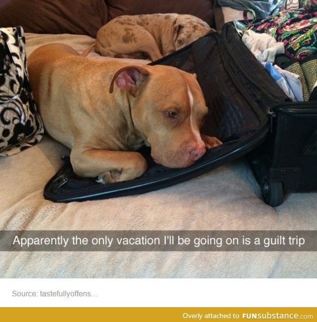 Awww