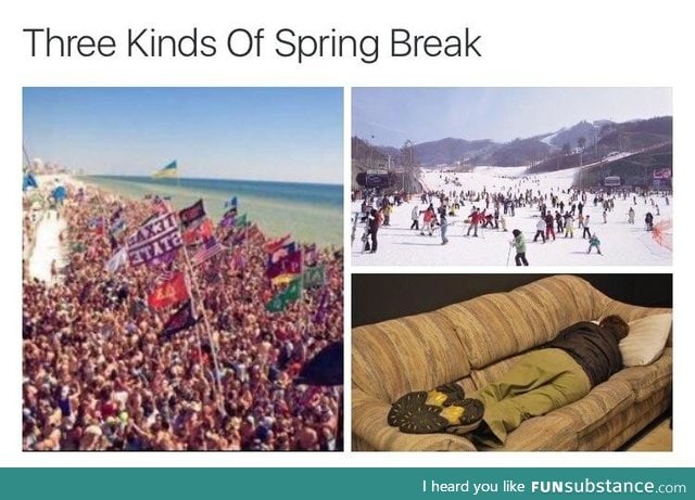 3 kinds of spring break
