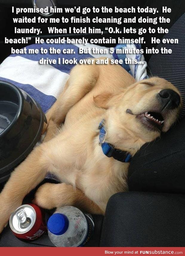 Power nap!