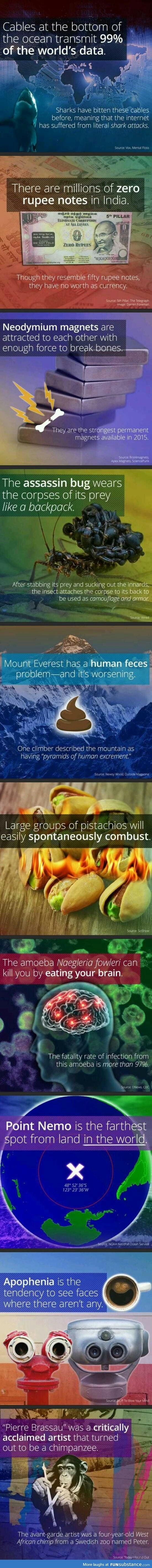 The more you know