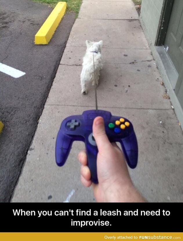 Not a bad dog leash after all