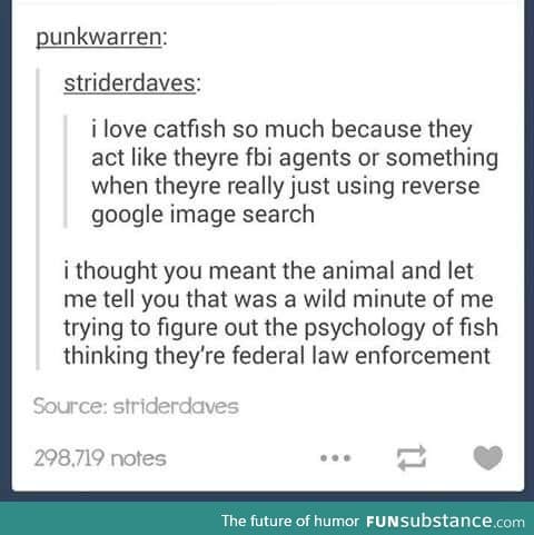 FBI Catfish