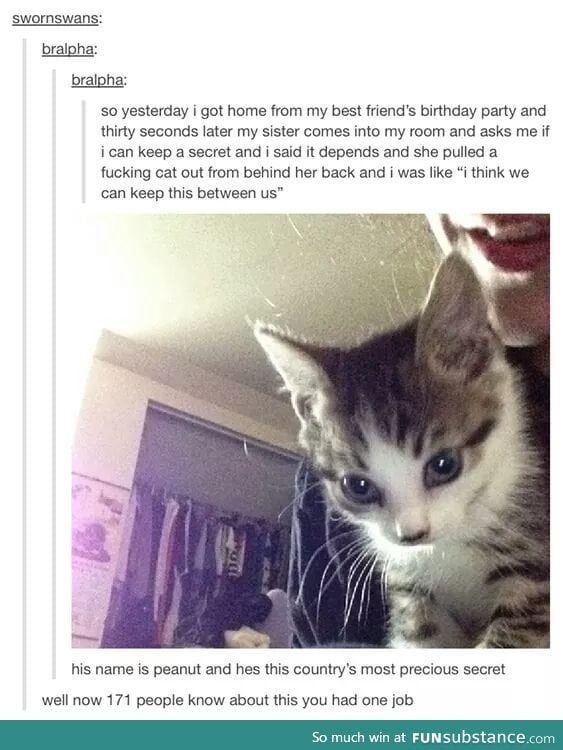 Don't just take people' cats like that!