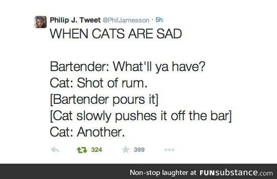 Sad cat walks into a bar