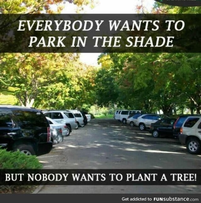 Think about this... everybody wants to park in the shade