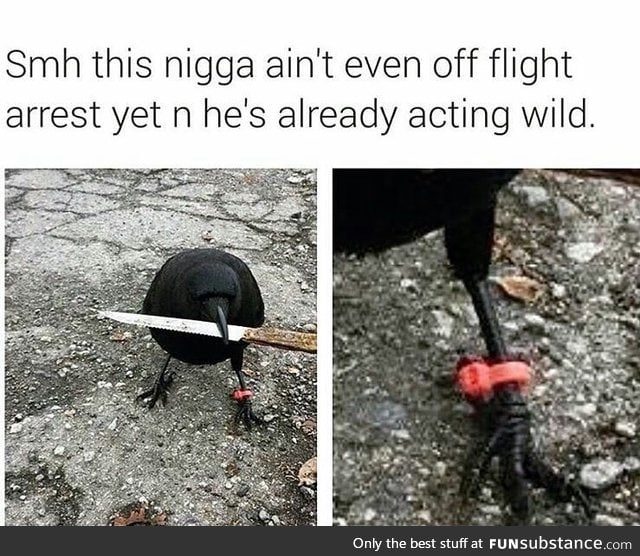 acting wild now that you're almost off of flight arrest