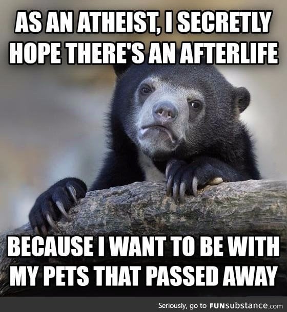 It's contradictory
