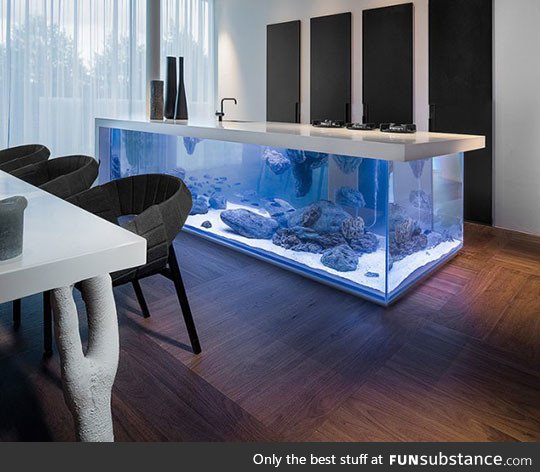 Kitchen island with an aquarium inside it