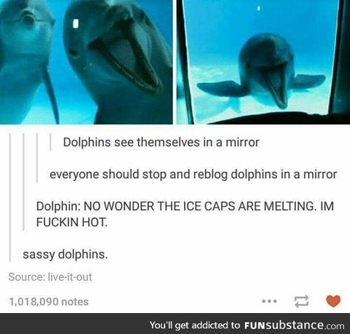 Sassphins