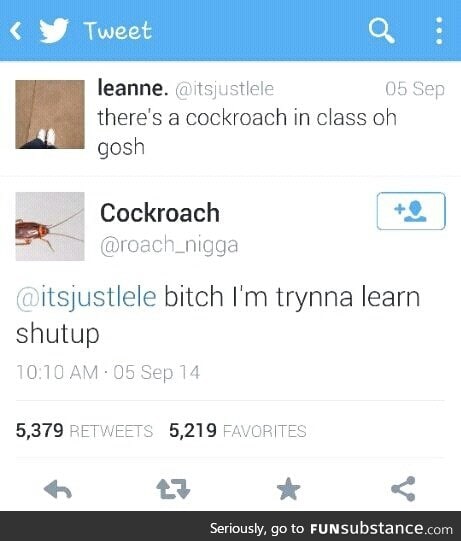 Roach tweet 9
