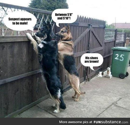 Short people humor