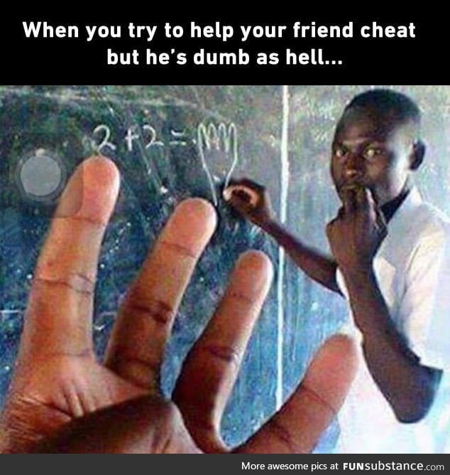 We all got that one dumb friend