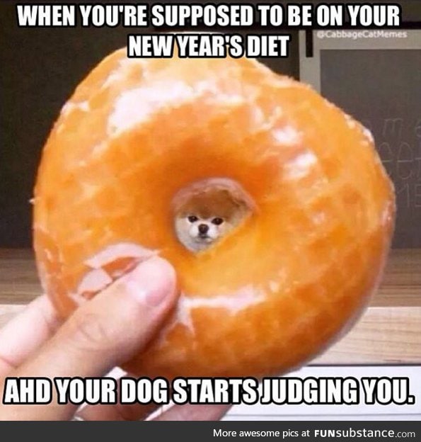 dogger
