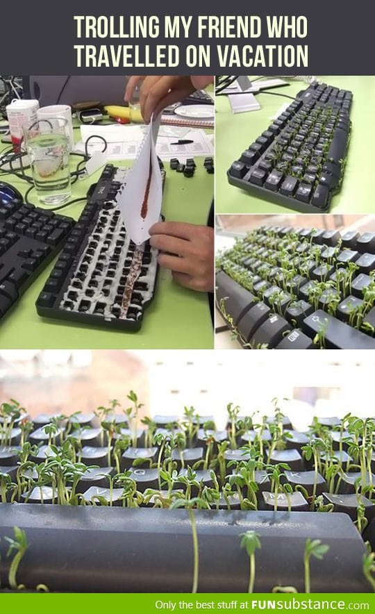 A keyboard full of life