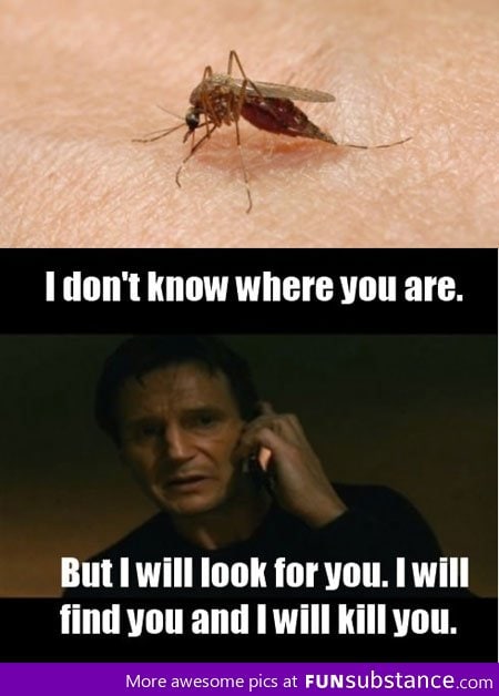 When I get bitten by a mosquito