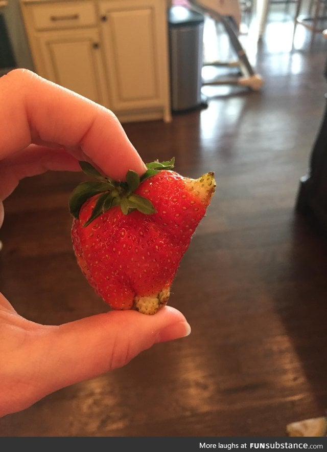 Piggyberry