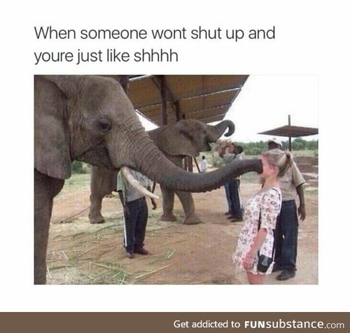 Shhhhhhhhhhhhhhhhh