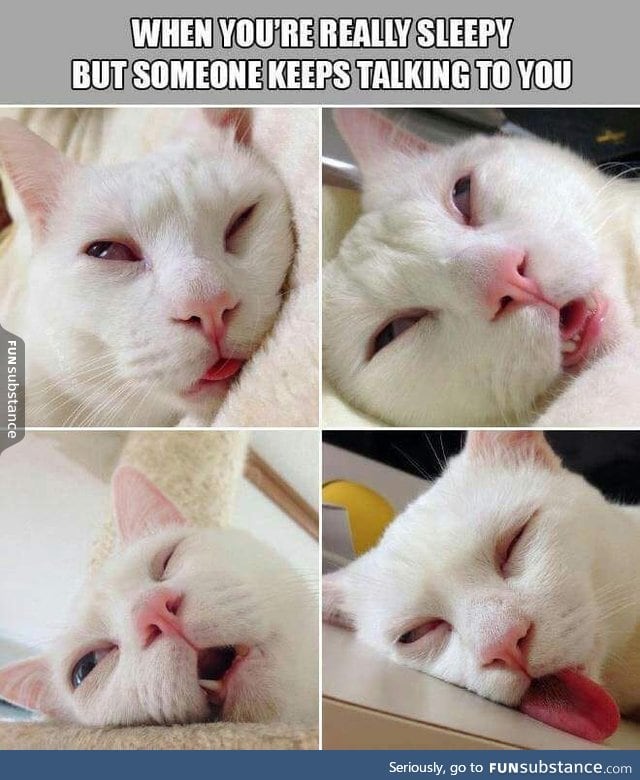Sleepy days