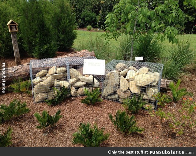 These pet rocks are raised in miserable, overcrowded conditions