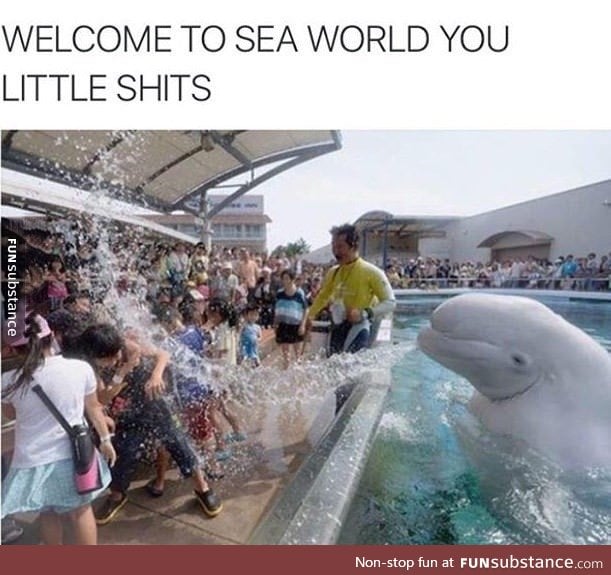 Sea world!