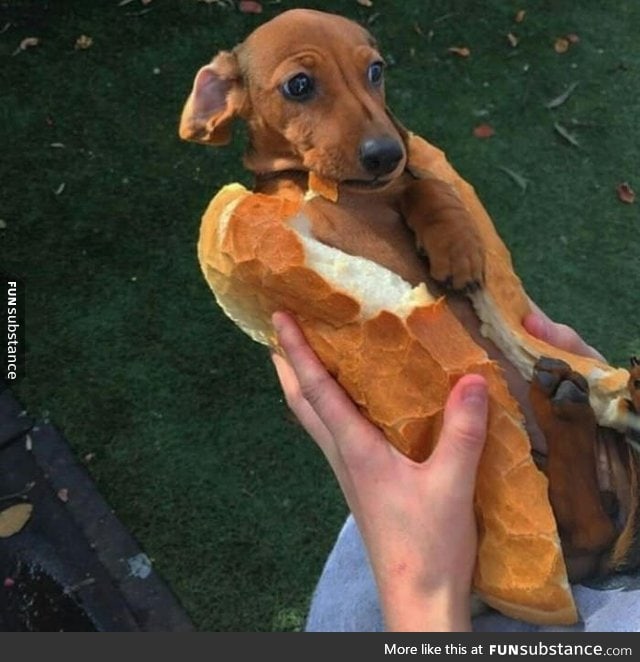 Please don't eat me!