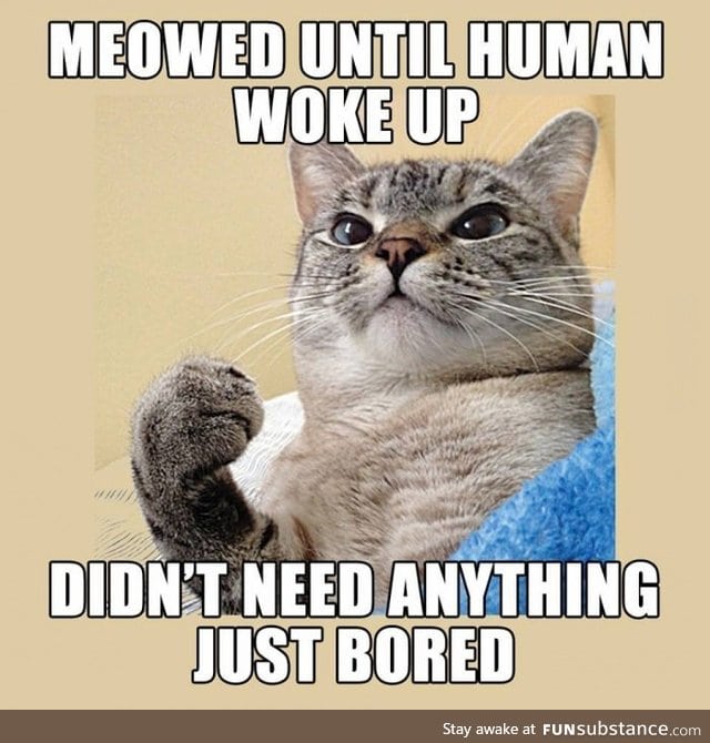 Every f*cking time