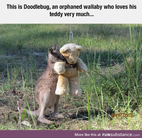 He loves his teddy