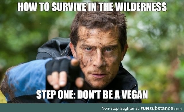 "Man vs Wild" in a nutshell