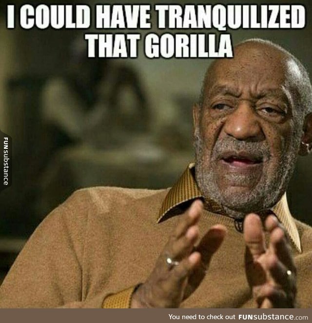 He could have saved that gorilla