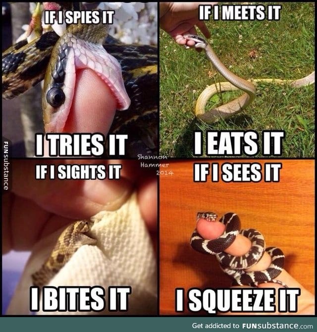 Snek