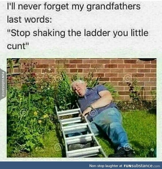 Dead pawpaw