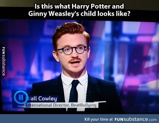 Probably Harry Potter's Illegitimate Son