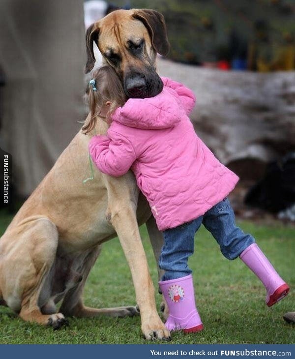 Sometimes, all you want to do is to hug a dog