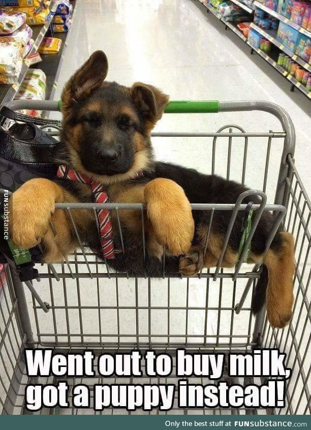 Who could resist that face?