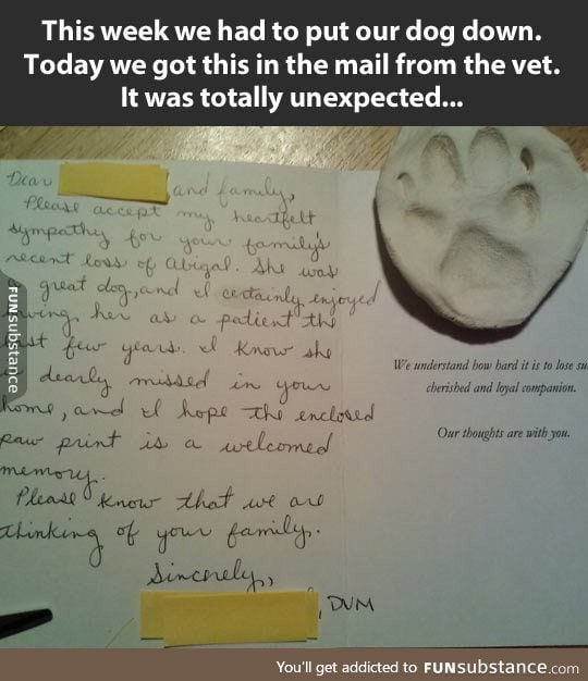 This vet has a big heart