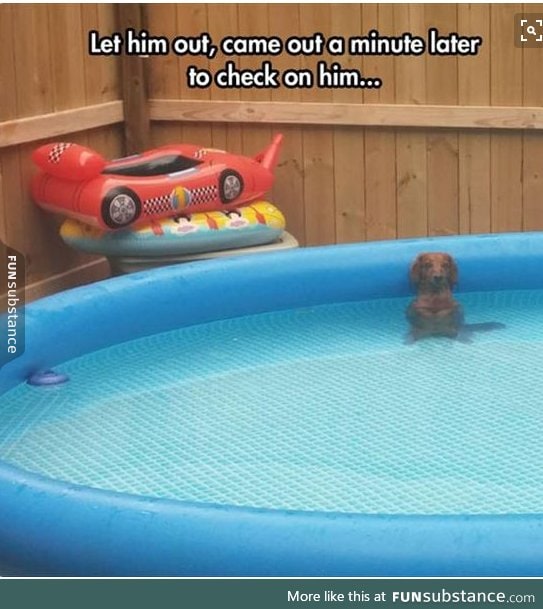 uhoh that's the peeing in the pool face