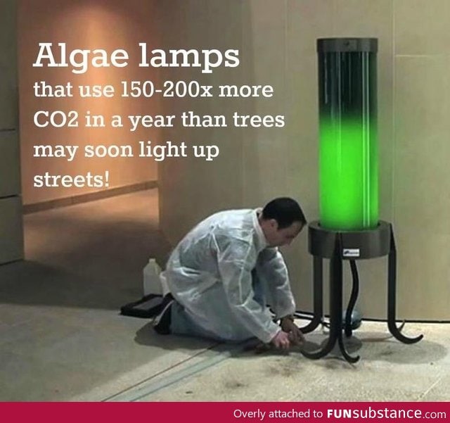 Green Lamp