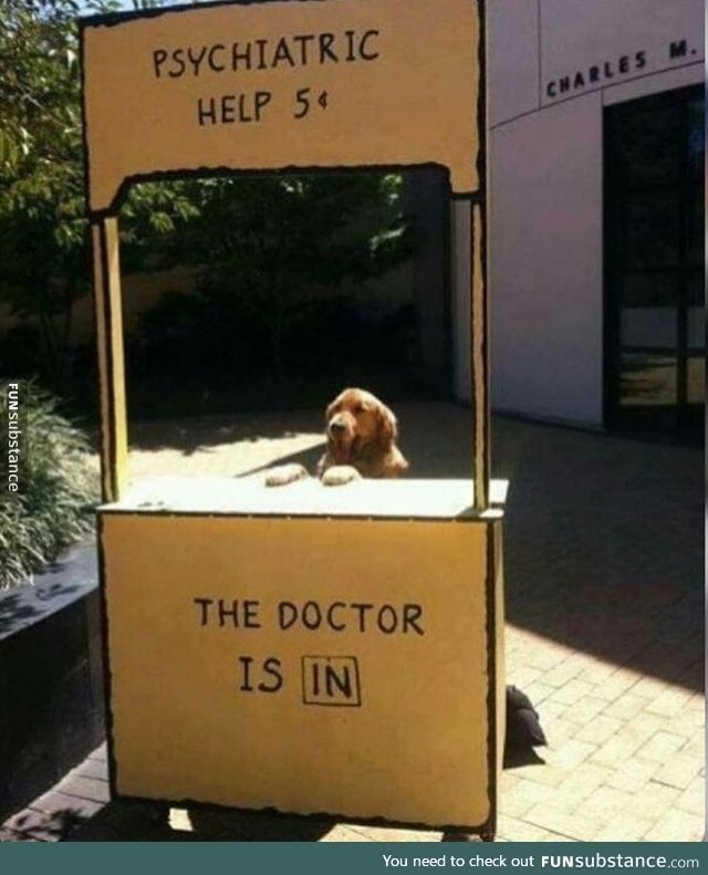 dr doggo is here 2 help