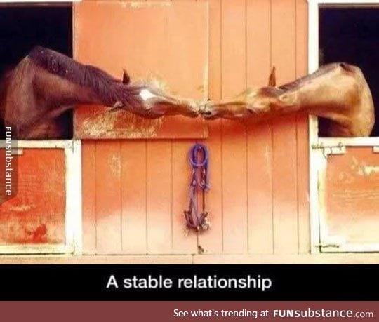 Where's The Bridle Party?