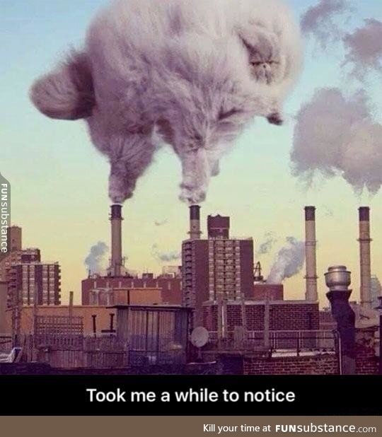 Pollution is actually cute