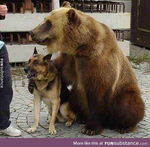 bare doin pupper a friend