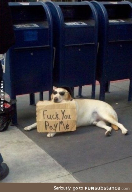 Doggo demands money